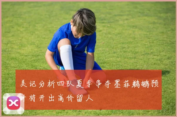 美记分析四队夏季争夺墨菲鹈鹕预计将开出高价留人